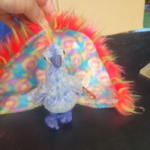 EUC Flashy the Peacock Beanie Baby Super cute, very bright colors.